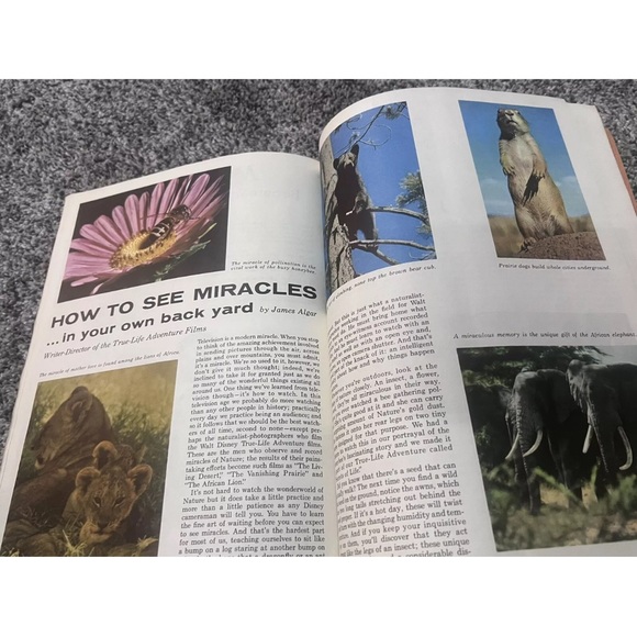 Walt Disneys Mickey Mouse Club Magazine Winter 1956 - Picture 7 of 10